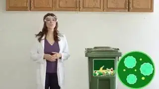 Waste Management Odor Disposer