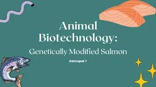 Animal Biotechnology: Genetically Modified Salmon - Kelompok 7
