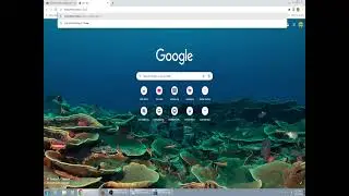 How to Activate Angry Birds PC Games (2025) (For Windows Vista and below) (Links in the Description)