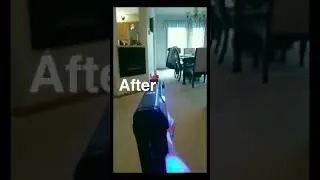 Modded Nerf Rival Zeus