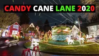 Candy Cane Lane 2020 (4K) | A Seattle Holiday Tradition