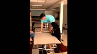 Senior Mentor Project- Low School Musical