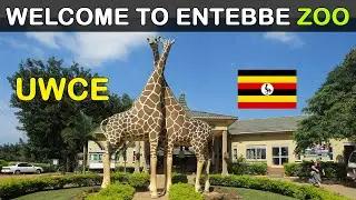 Uganda Wildlife Conservation Education Centre - Exhibitions and animals information
