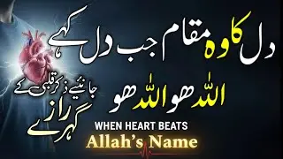 Allah Kis Dil Mein Apna Zikr Jari Kar Deta Hai? Nishani ka Asal Raaz | When heart beats Allah's name