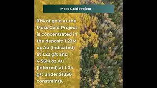 Moss Gold Project: Unlocking 91% of Gold Potential | Goldshore Resources