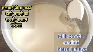 how to make dahi at home/Milk powder Curd/दूध पावडर से हलवाई जैसा गाढ़ा दही /Dahi jamane ka Tarika