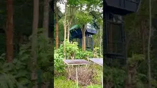 wayanad meppadi tree house📞6238767247