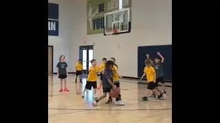 Warriors
