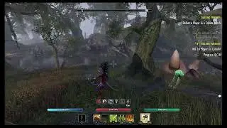 Deshaan Woodwoker Survey