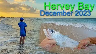 Hervey Bay - December 2023