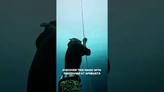 TIME STOPS UNDERWATER  #freedivingvideo #freedivinglife