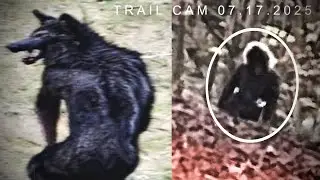 Cryptid Creatures Caught on Trail Cam 2025 *NEW DISTURBING FOOTAGE*