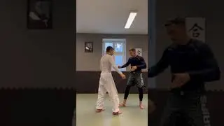 Rare Aikido Technique Explained in Detail