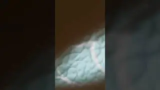 Decintwalker pls respond