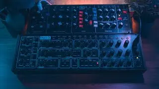 Behringer Pro 1 & Model D - Analog Ambience (Movement 01)