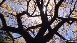 Junkie XL feat. Robert Smith - Perfect Blue Sky