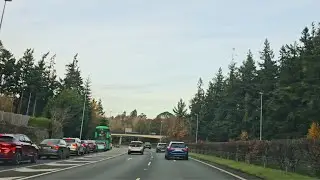 Long Drive in Ireland 🇮🇪 Wexford to Dublin Airport | Ambient Road Sounds & Blues
