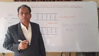 Nature selected Thymine in DNA instead of Uracil, Why? || DNA Replication || Genetics ||