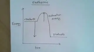 Reaction profiles