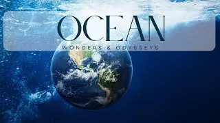 #OCEAN #stories #reddit #story #storytale #world #travel #geography #facts #ocean #Wonders&Odysseys