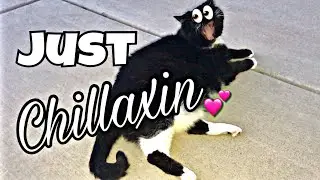 JUST CHILLAXIN&rsquo; | Vlog | June 4, 2018 | Traci B