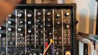 D502 MultiMode VCF Module