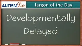 Autism Jargon: Developmentally Delayed