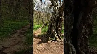 Крым в объективе~Crimea in the lens  E23