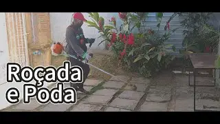 Antes e Depois: Limpeza com Roçadeira e Poda de Plantas.