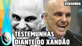 STF LIBERA VÍDEOS DAS TESTEMUNHAS DO GOLPE PASSANDO VERGONHA DIANTE DO XANDÃO | PLANTÃO