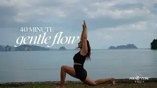 Gentle Vinyasa Flow | 40-Min Relaxing Yoga for Beginners & All Levels