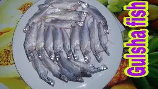 Village Food।Gulsha Tangra Fiah Curry With Tomato। Fish Curry Recipe। Traditional Fish Curry