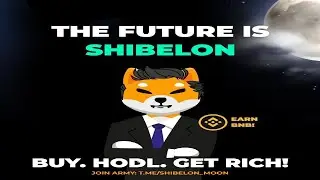 SHIBELON TOKEN NFT METAVERSE GABUNGAN SHIBA DAN ELON POTENSI 10XGEM | INFO KOIN MICIN BARU POTENSIAL
