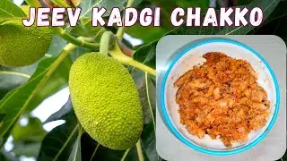 Jeev Kadgi Chakko I Breadfruit Recipe I Chakko Recipe I #breadfruit #simplerandhap
