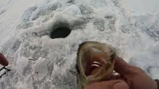 Ice fishing during prime time for Walleye 