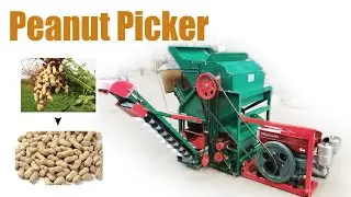 High-Efficiency Peanut Picker Machine Working Site: Fast and Precise Groundnut Harvesting!#peanut