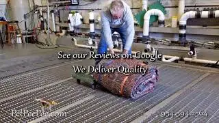 Ask PetPeePee Company: How can I make my Oriental rug look new again?
