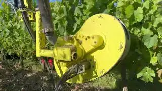 Effeuilleuse Collard 2024
