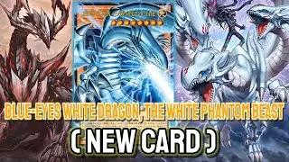 New Blue-Eyes !!💥 YGOPRO - Blue-Eyes White Dragon, the White Phantom Beast Jan.2026 | New Card