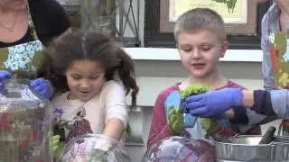 Террариумы для детей своими руками