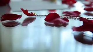 video edition data (5)