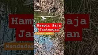 Kabar Baik Dari Spot Rahasia #fishing #mancing #bendungankarian #mancinggabus #tempatmancing #angler