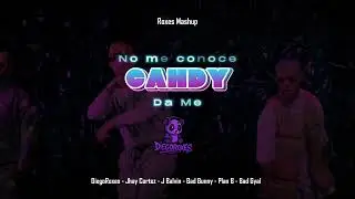 No Me Conoce x Candy x Da Me - Jhay Cortez, J Balvin, Bad Bunny, Plan B, Bad Gyal (ROXES MASHUP)