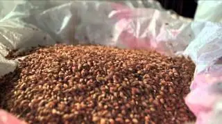 HYVIDO : Production and Supply