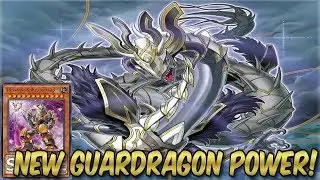 YU-GI-OH! NEW POWER! BABY-DRAGON GUARDRAGONS VS ASSAULT MODE!