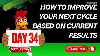 Broiler Farming Bonus Day 34 | How to Improve Your Next Cycle Based on Current Results