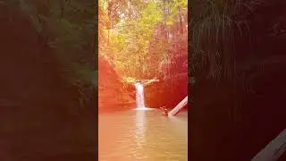 mini escape #aesthetic #travel #cinematic #photography #nature #forest #epiclandscape #roadtrip