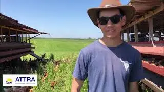Burroughs Family Farms: Daily Care of Pastured Poultry