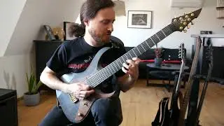 Mental Cruelty - Mortal Shells Guitar Solo Cover