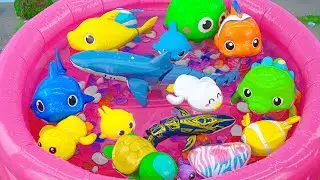 toy asmr | Baby Shark Pingfong Aquarium & RC Blue Shark & Crocodile ASMR Satisfying with Unboxing